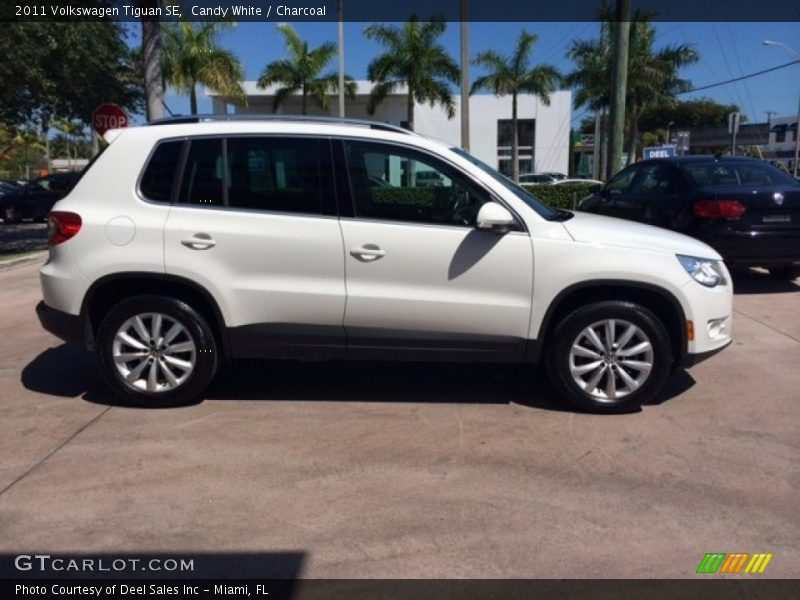 Candy White / Charcoal 2011 Volkswagen Tiguan SE