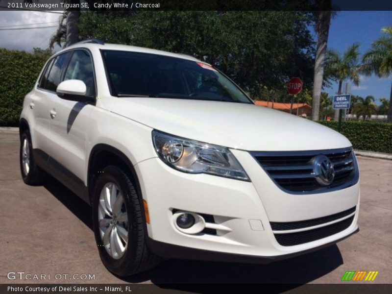 Candy White / Charcoal 2011 Volkswagen Tiguan SE