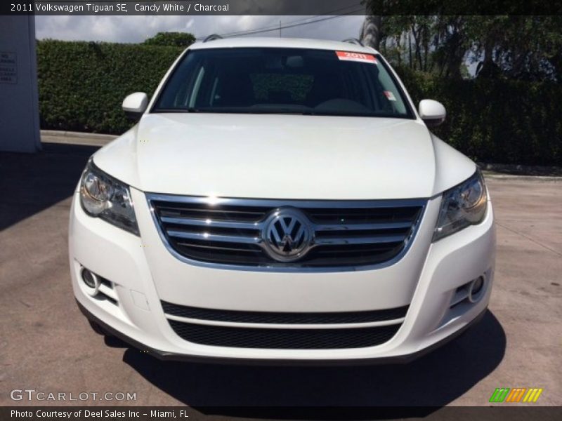 Candy White / Charcoal 2011 Volkswagen Tiguan SE