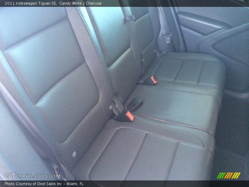 Candy White / Charcoal 2011 Volkswagen Tiguan SE