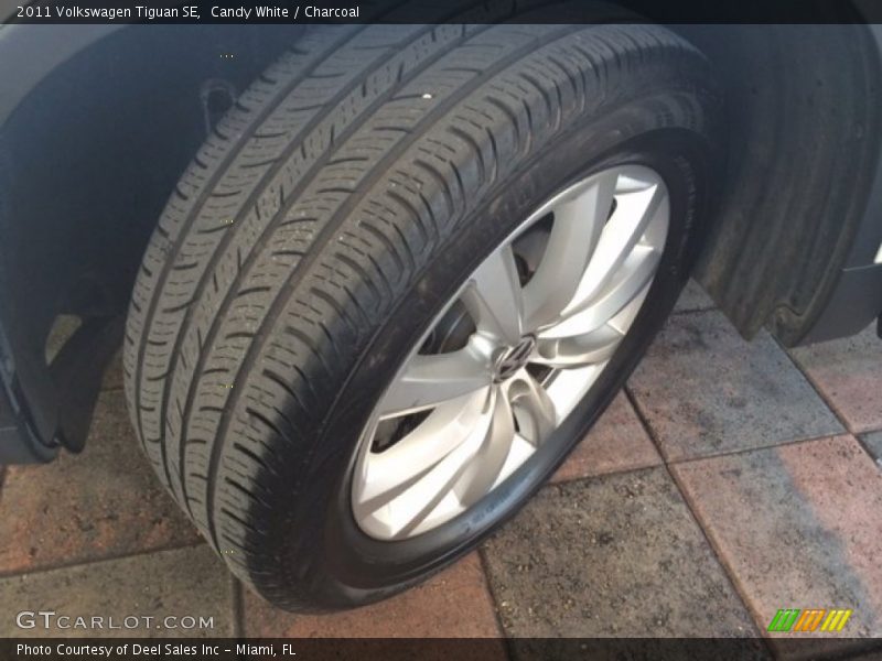 Candy White / Charcoal 2011 Volkswagen Tiguan SE
