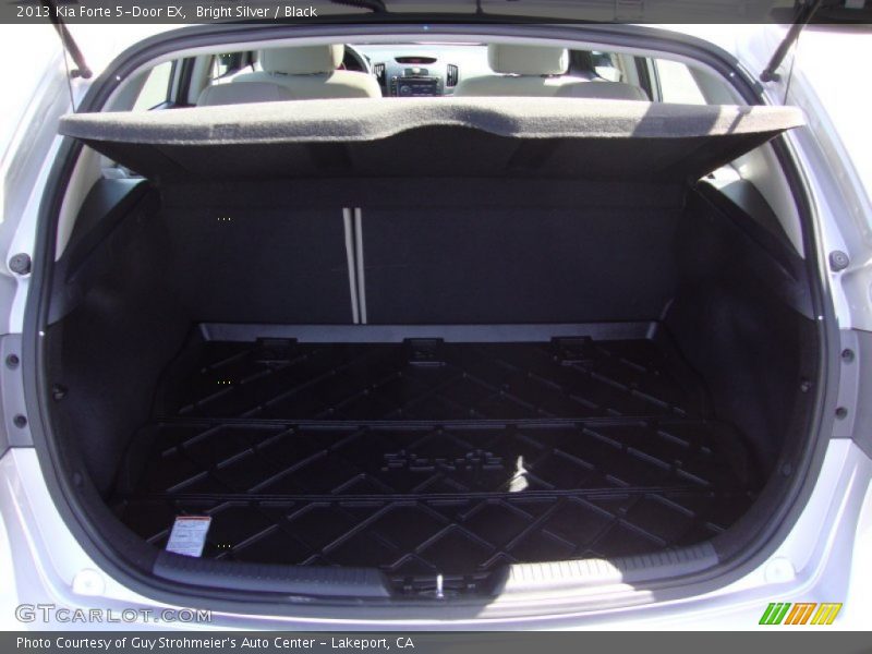 Bright Silver / Black 2013 Kia Forte 5-Door EX