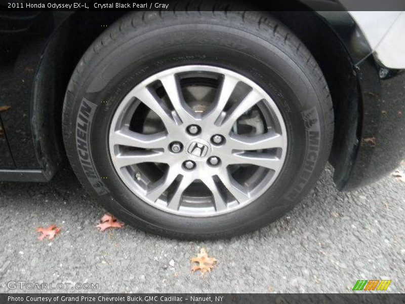 Crystal Black Pearl / Gray 2011 Honda Odyssey EX-L