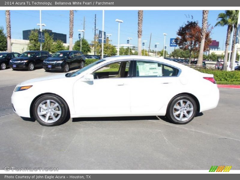 Bellanova White Pearl / Parchment 2014 Acura TL Technology