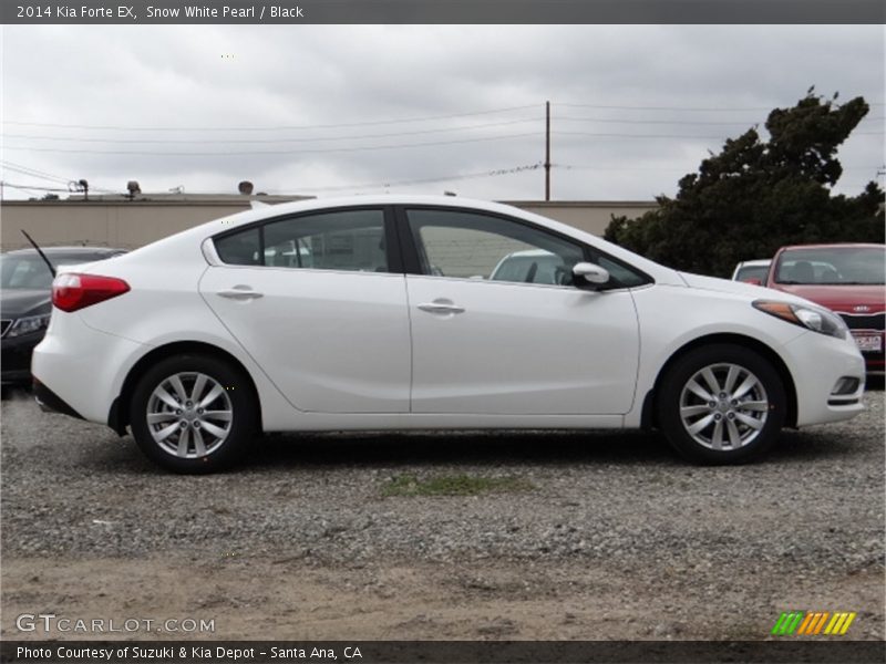 Snow White Pearl / Black 2014 Kia Forte EX