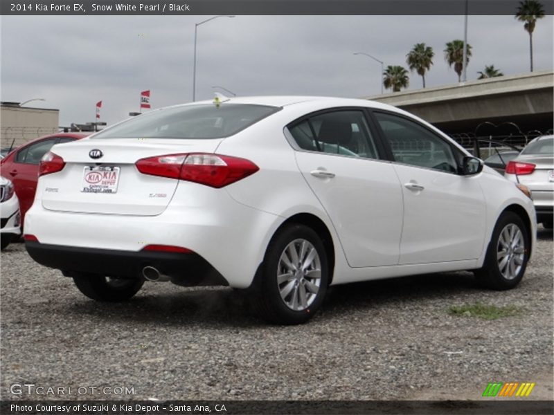 Snow White Pearl / Black 2014 Kia Forte EX