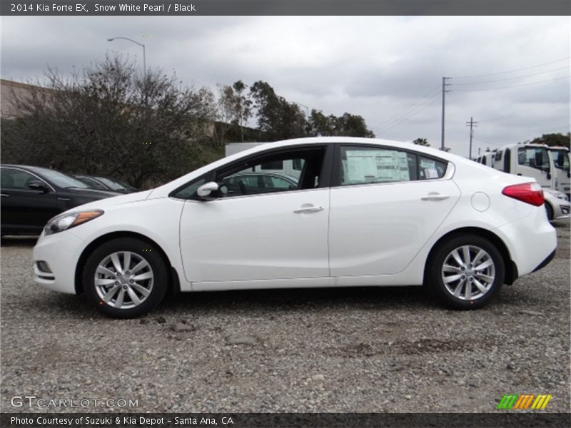  2014 Forte EX Snow White Pearl