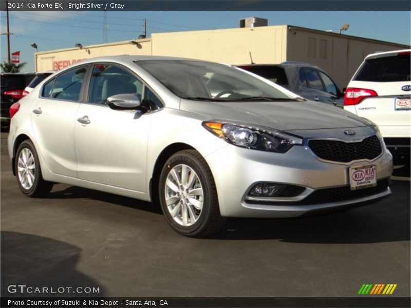 Bright Silver / Gray 2014 Kia Forte EX