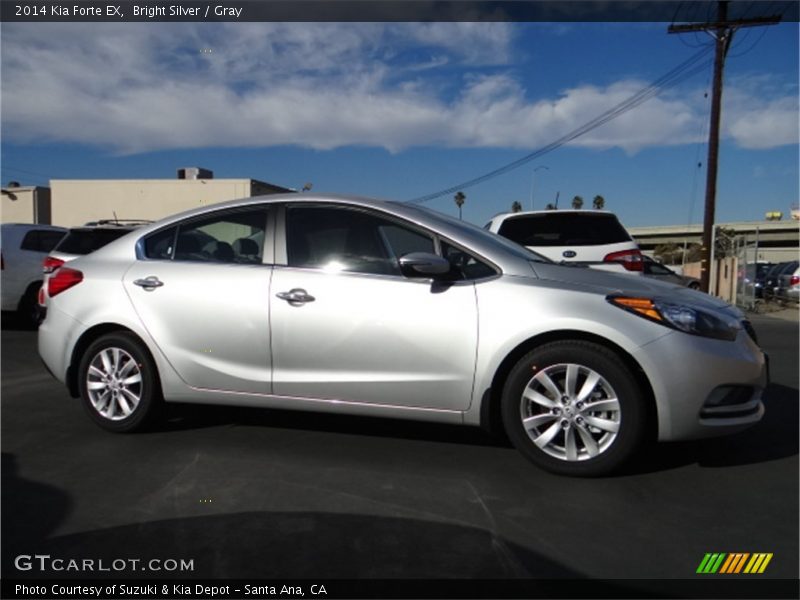 Bright Silver / Gray 2014 Kia Forte EX