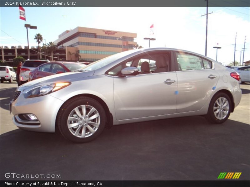 Bright Silver / Gray 2014 Kia Forte EX
