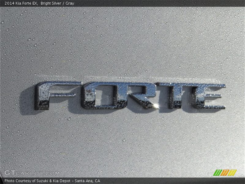 Bright Silver / Gray 2014 Kia Forte EX