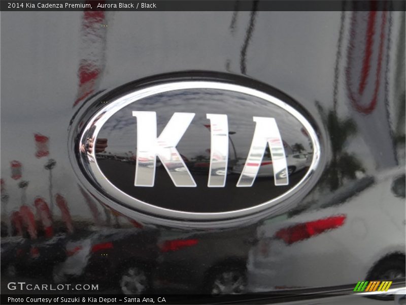 Aurora Black / Black 2014 Kia Cadenza Premium