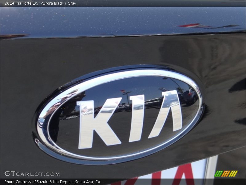 Aurora Black / Gray 2014 Kia Forte EX