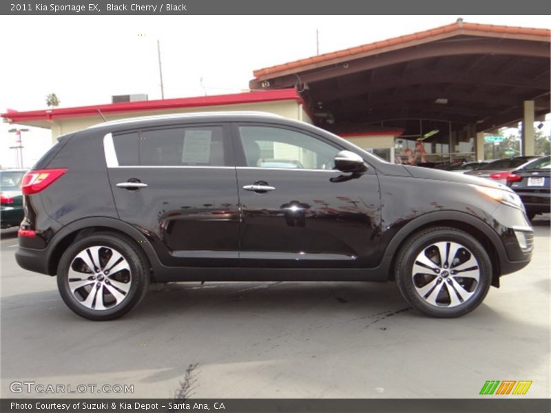 Black Cherry / Black 2011 Kia Sportage EX
