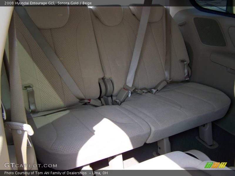 Sonora Gold / Beige 2008 Hyundai Entourage GLS