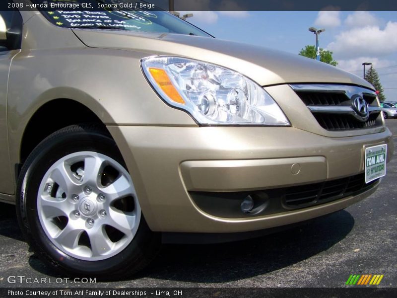 Sonora Gold / Beige 2008 Hyundai Entourage GLS