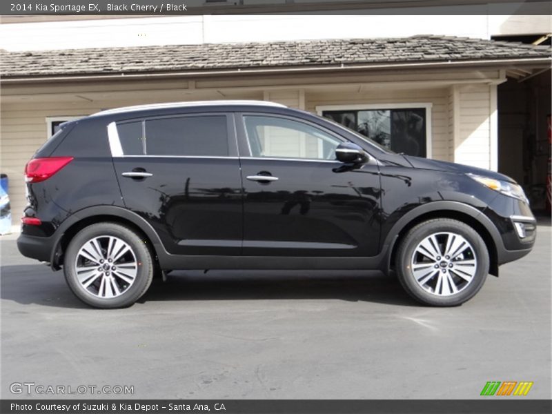 Black Cherry / Black 2014 Kia Sportage EX