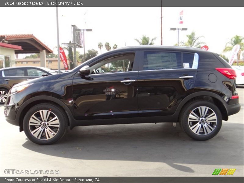 Black Cherry / Black 2014 Kia Sportage EX