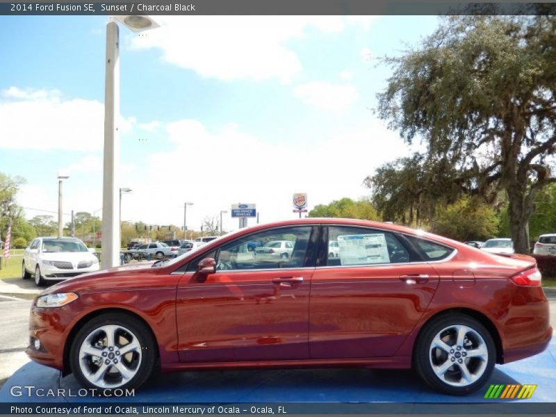 2014 Fusion SE Sunset