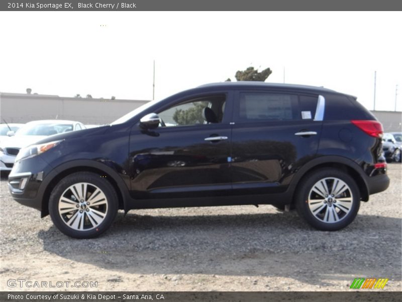 Black Cherry / Black 2014 Kia Sportage EX