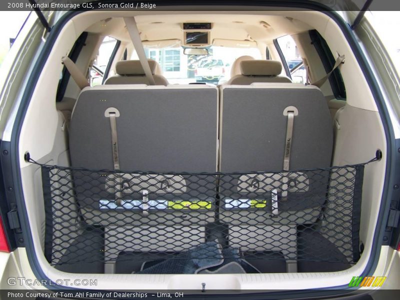 Sonora Gold / Beige 2008 Hyundai Entourage GLS