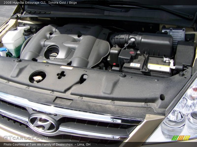 Sonora Gold / Beige 2008 Hyundai Entourage GLS