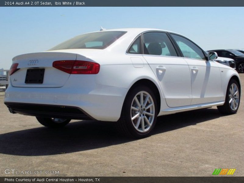 Ibis White / Black 2014 Audi A4 2.0T Sedan