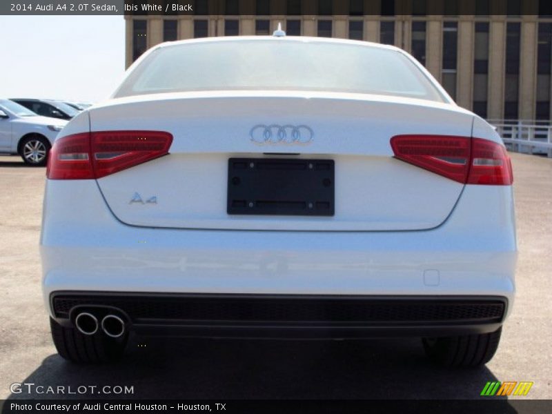 Ibis White / Black 2014 Audi A4 2.0T Sedan