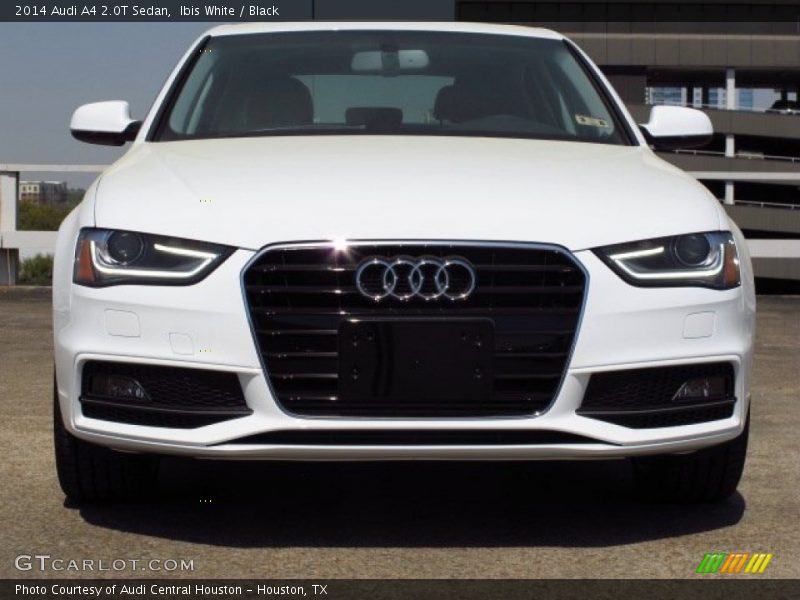 Ibis White / Black 2014 Audi A4 2.0T Sedan