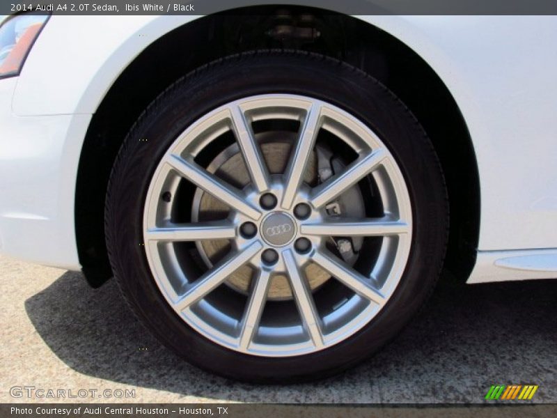 Ibis White / Black 2014 Audi A4 2.0T Sedan