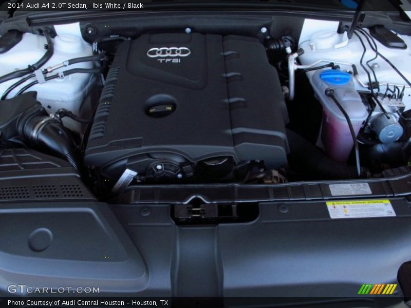 Ibis White / Black 2014 Audi A4 2.0T Sedan