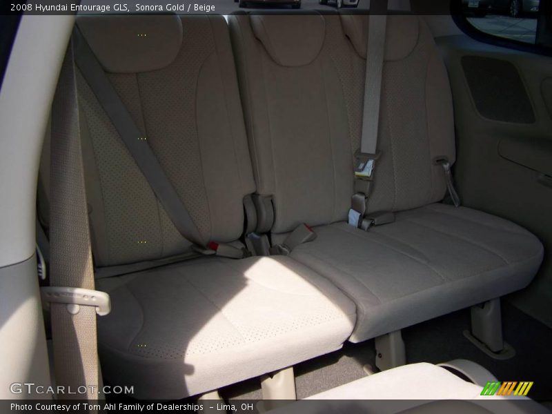 Sonora Gold / Beige 2008 Hyundai Entourage GLS