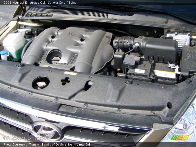 Sonora Gold / Beige 2008 Hyundai Entourage GLS