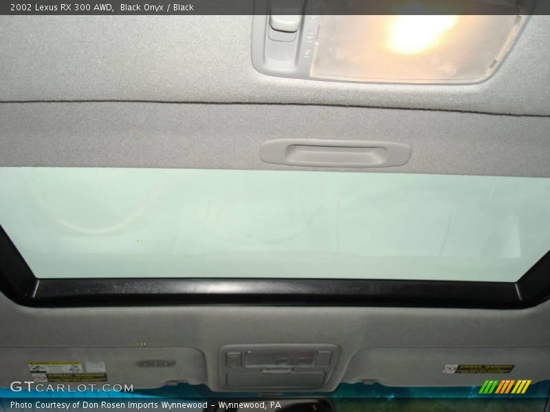 Black Onyx / Black 2002 Lexus RX 300 AWD