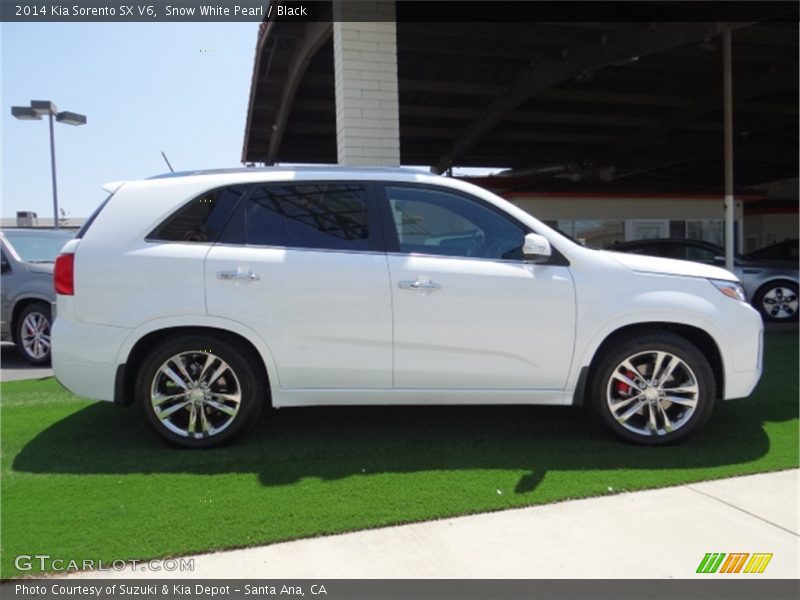 Snow White Pearl / Black 2014 Kia Sorento SX V6