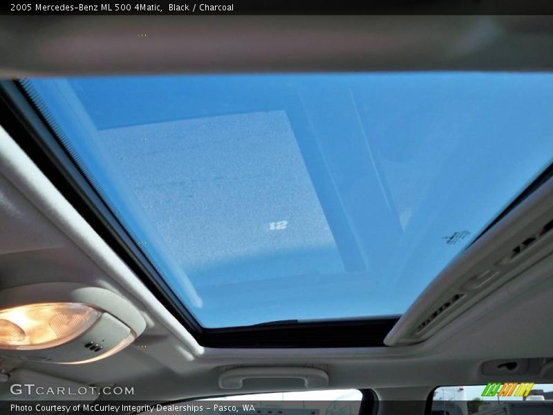 Black / Charcoal 2005 Mercedes-Benz ML 500 4Matic