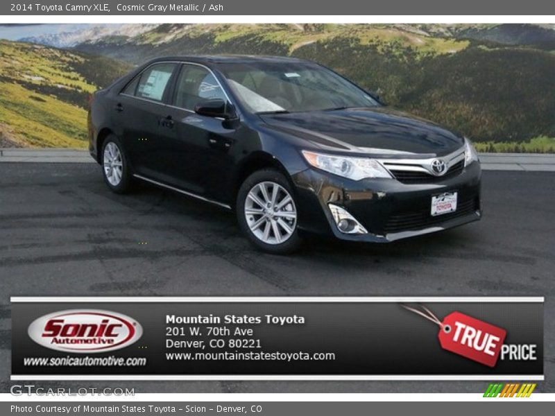 Cosmic Gray Metallic / Ash 2014 Toyota Camry XLE