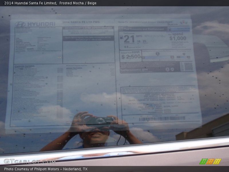 Frosted Mocha / Beige 2014 Hyundai Santa Fe Limited
