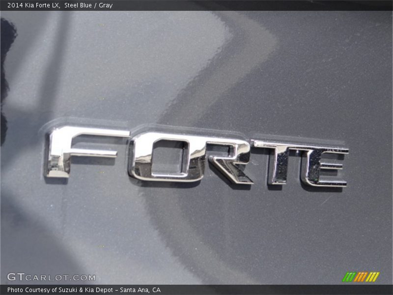 Steel Blue / Gray 2014 Kia Forte LX