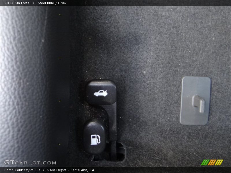 Steel Blue / Gray 2014 Kia Forte LX