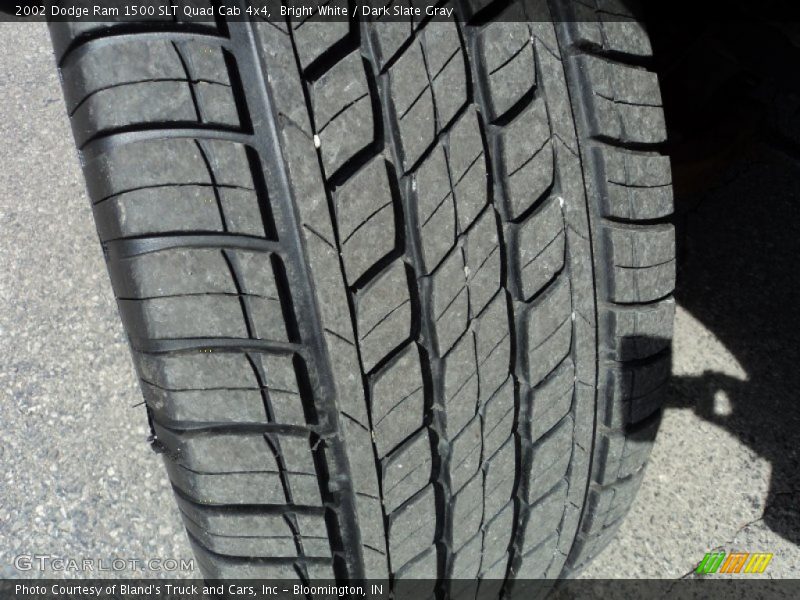 Bright White / Dark Slate Gray 2002 Dodge Ram 1500 SLT Quad Cab 4x4