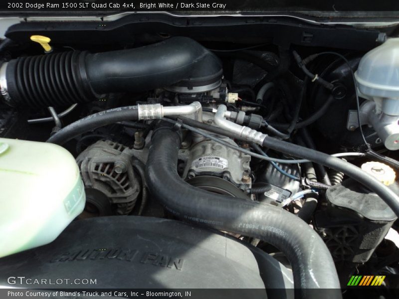 Bright White / Dark Slate Gray 2002 Dodge Ram 1500 SLT Quad Cab 4x4