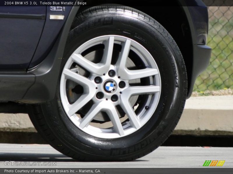 Toledo Blue Metallic / Beige 2004 BMW X5 3.0i