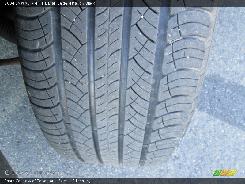 Kalahari Beige Metallic / Black 2004 BMW X5 4.4i