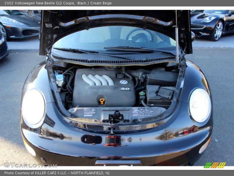 Black / Cream Beige 2002 Volkswagen New Beetle GLS Coupe