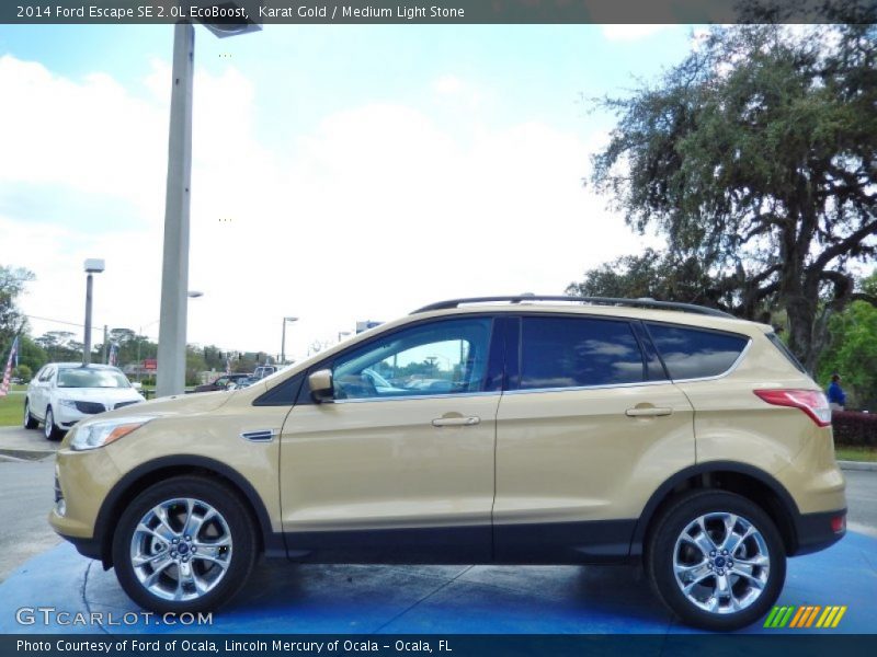 2014 Escape SE 2.0L EcoBoost Karat Gold