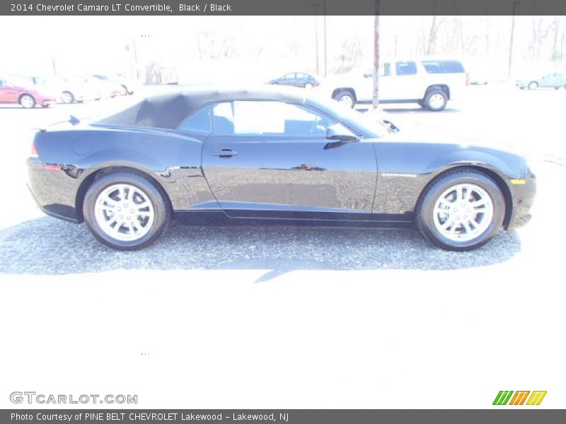 Black / Black 2014 Chevrolet Camaro LT Convertible