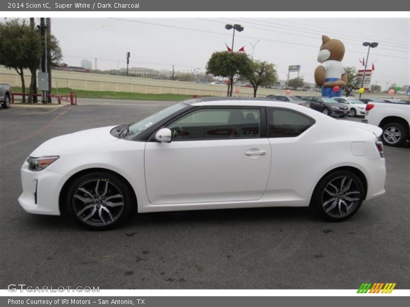 Super White / Dark Charcoal 2014 Scion tC