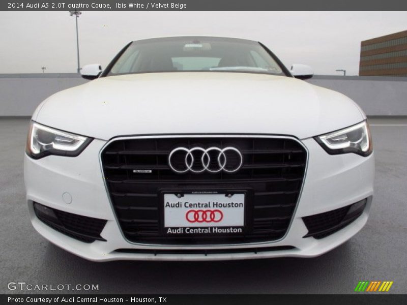 Ibis White / Velvet Beige 2014 Audi A5 2.0T quattro Coupe