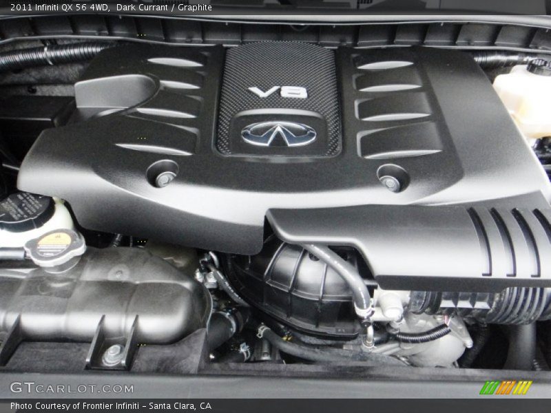 Dark Currant / Graphite 2011 Infiniti QX 56 4WD